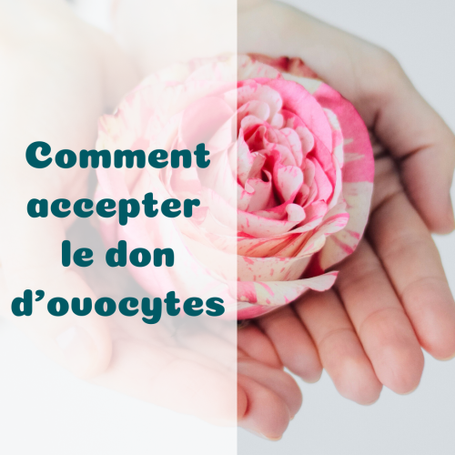 Mieux vivre le don d'ovocytes